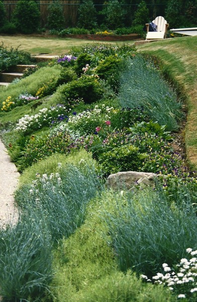 Lovely hillside perennial garden